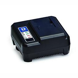 Graco 16D559 TrueCoat Lithium Ion Battery Charger